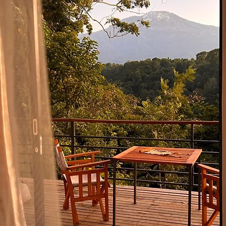 Kaliwa Lodge モシ エクステリア 写真