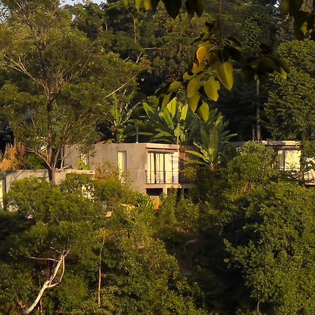 Kaliwa Lodge モシ エクステリア 写真