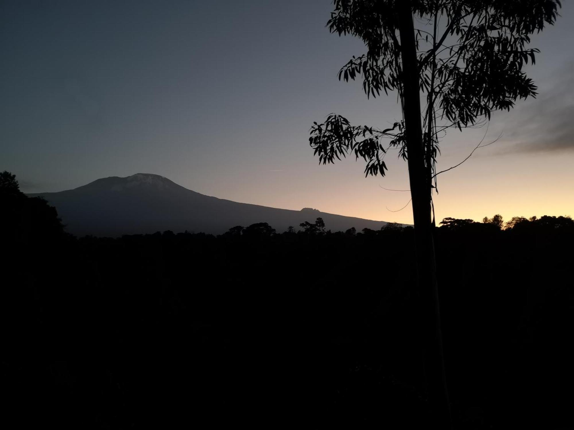 Kaliwa Lodge モシ エクステリア 写真