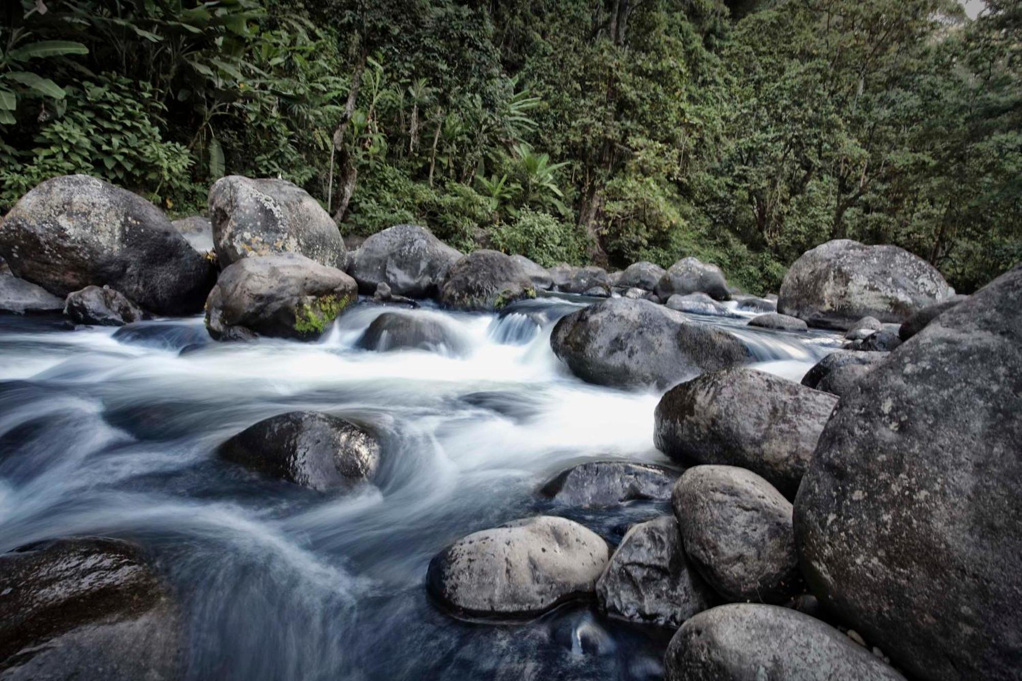 Kaliwa Lodge モシ エクステリア 写真