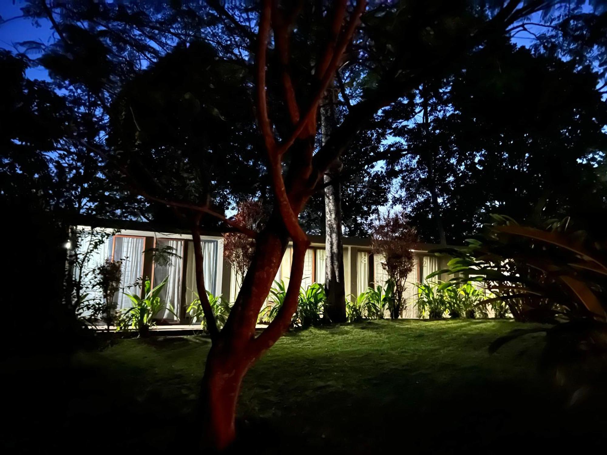 Kaliwa Lodge モシ エクステリア 写真