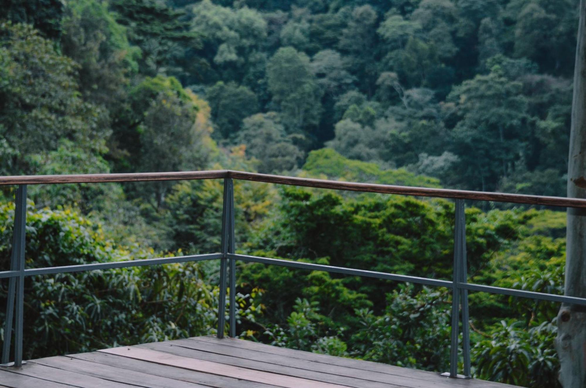 Kaliwa Lodge モシ エクステリア 写真
