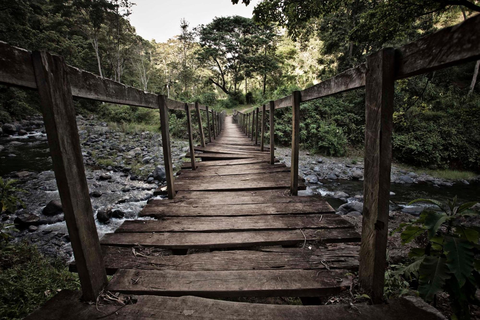 Kaliwa Lodge モシ エクステリア 写真