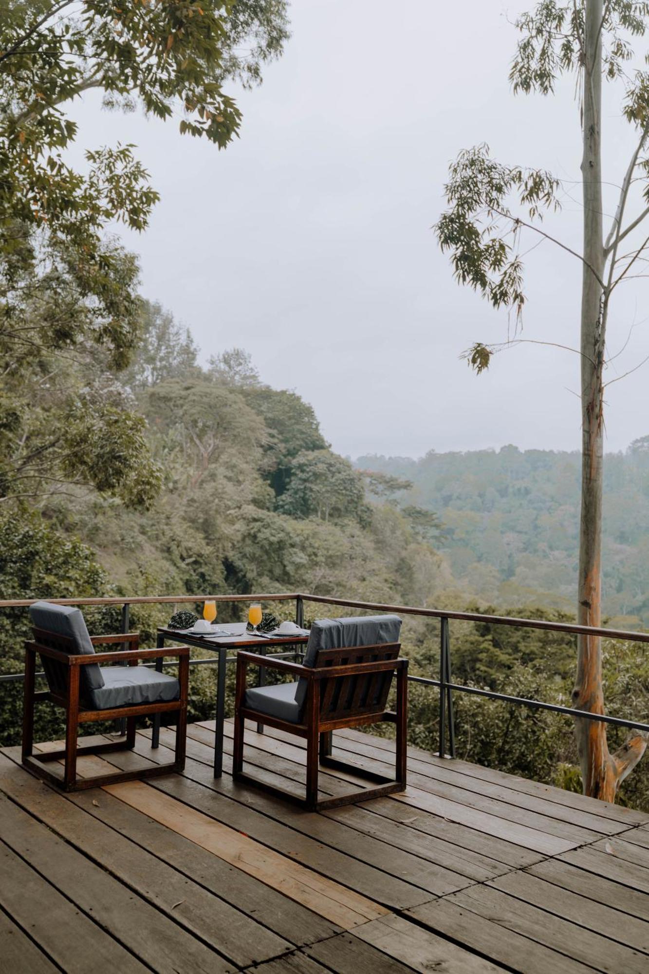 Kaliwa Lodge モシ エクステリア 写真