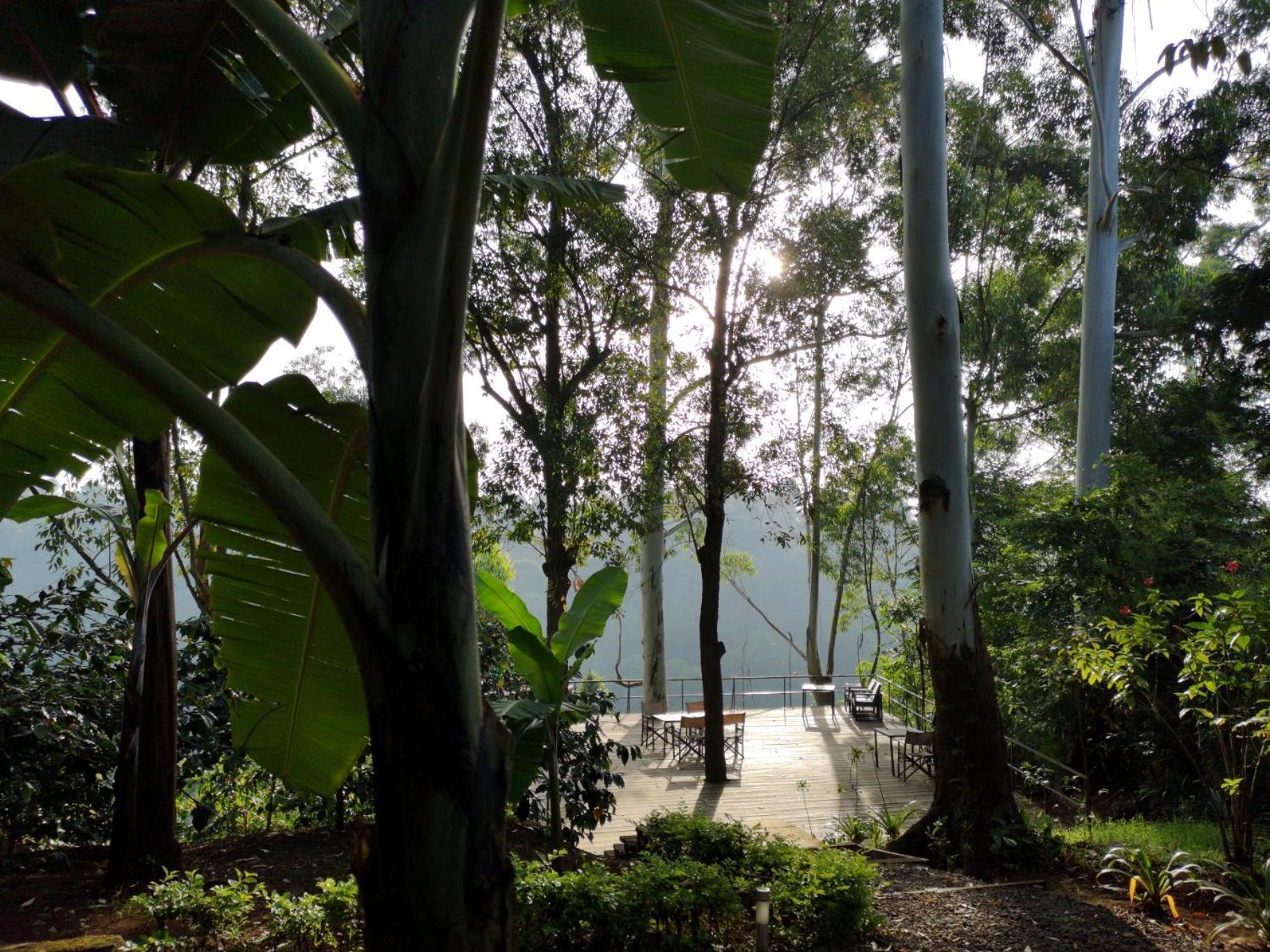 Kaliwa Lodge モシ エクステリア 写真