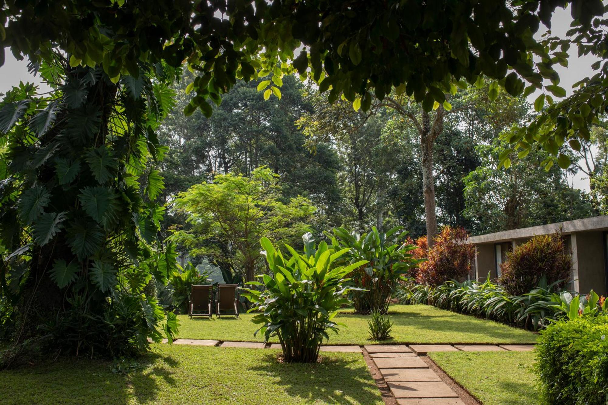 Kaliwa Lodge モシ エクステリア 写真