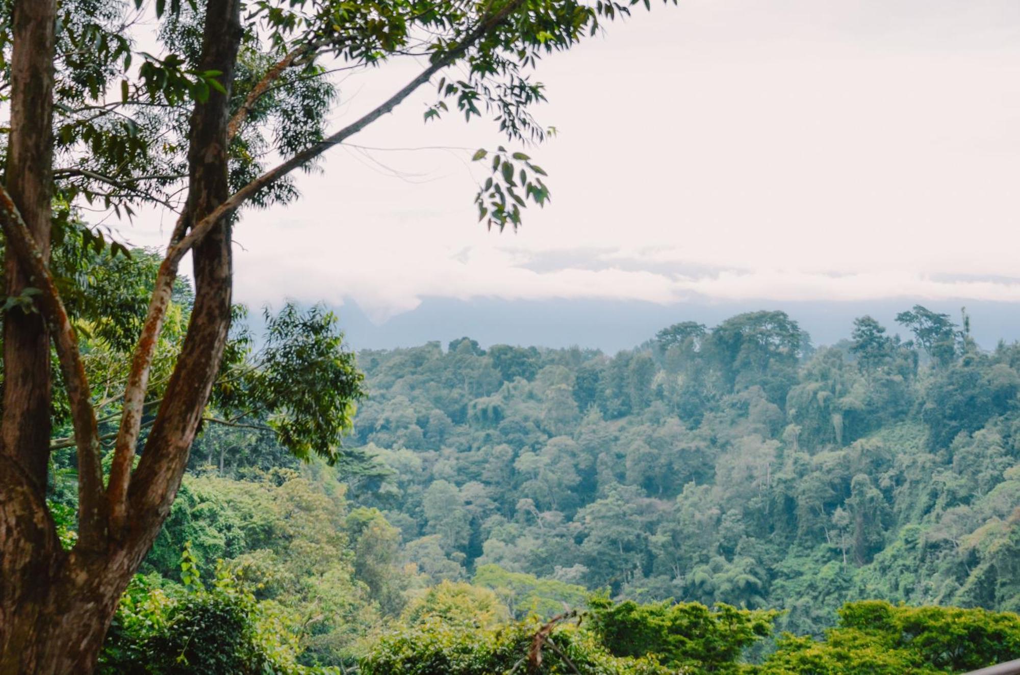 Kaliwa Lodge モシ エクステリア 写真