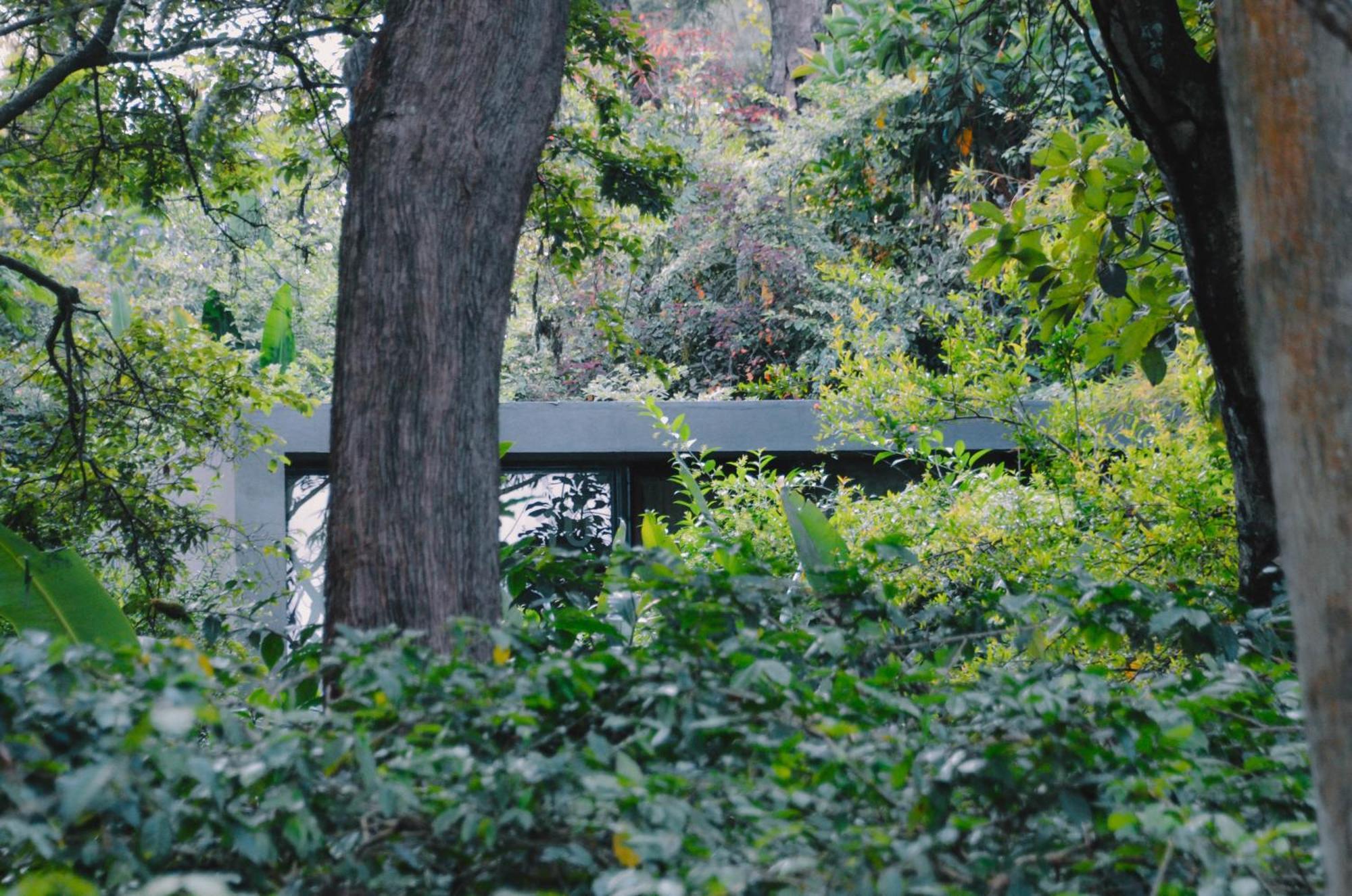 Kaliwa Lodge モシ エクステリア 写真
