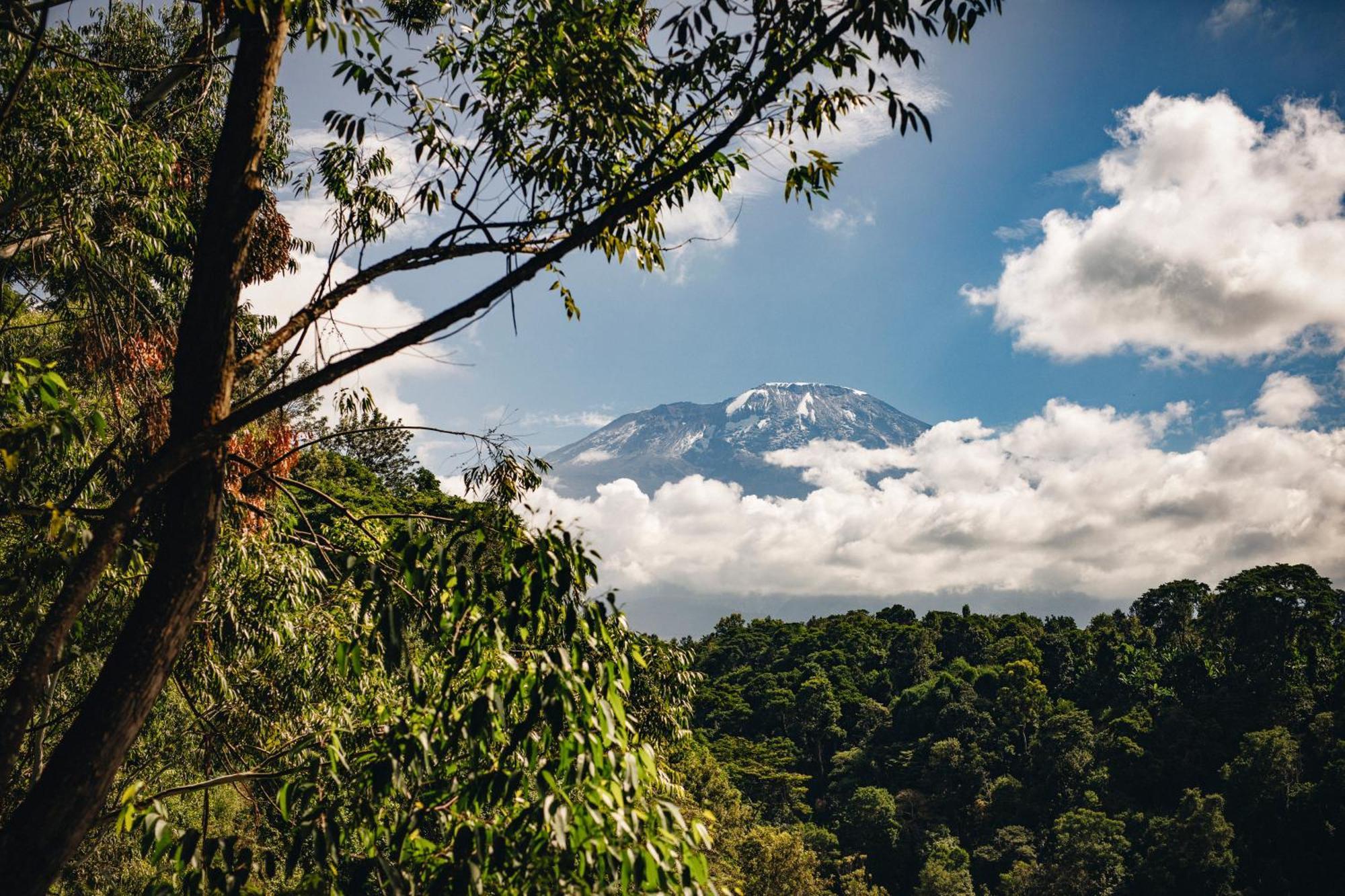 Kaliwa Lodge モシ エクステリア 写真