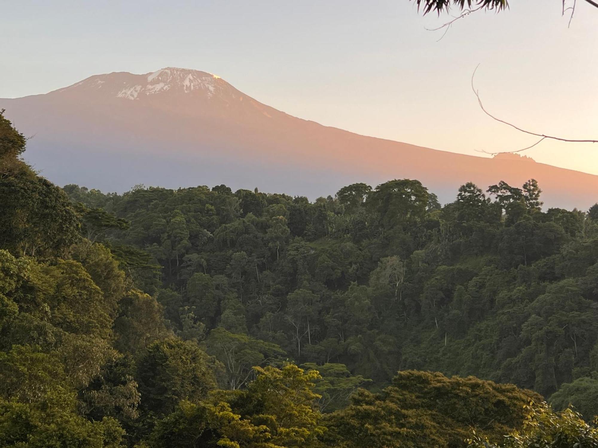 Kaliwa Lodge モシ エクステリア 写真