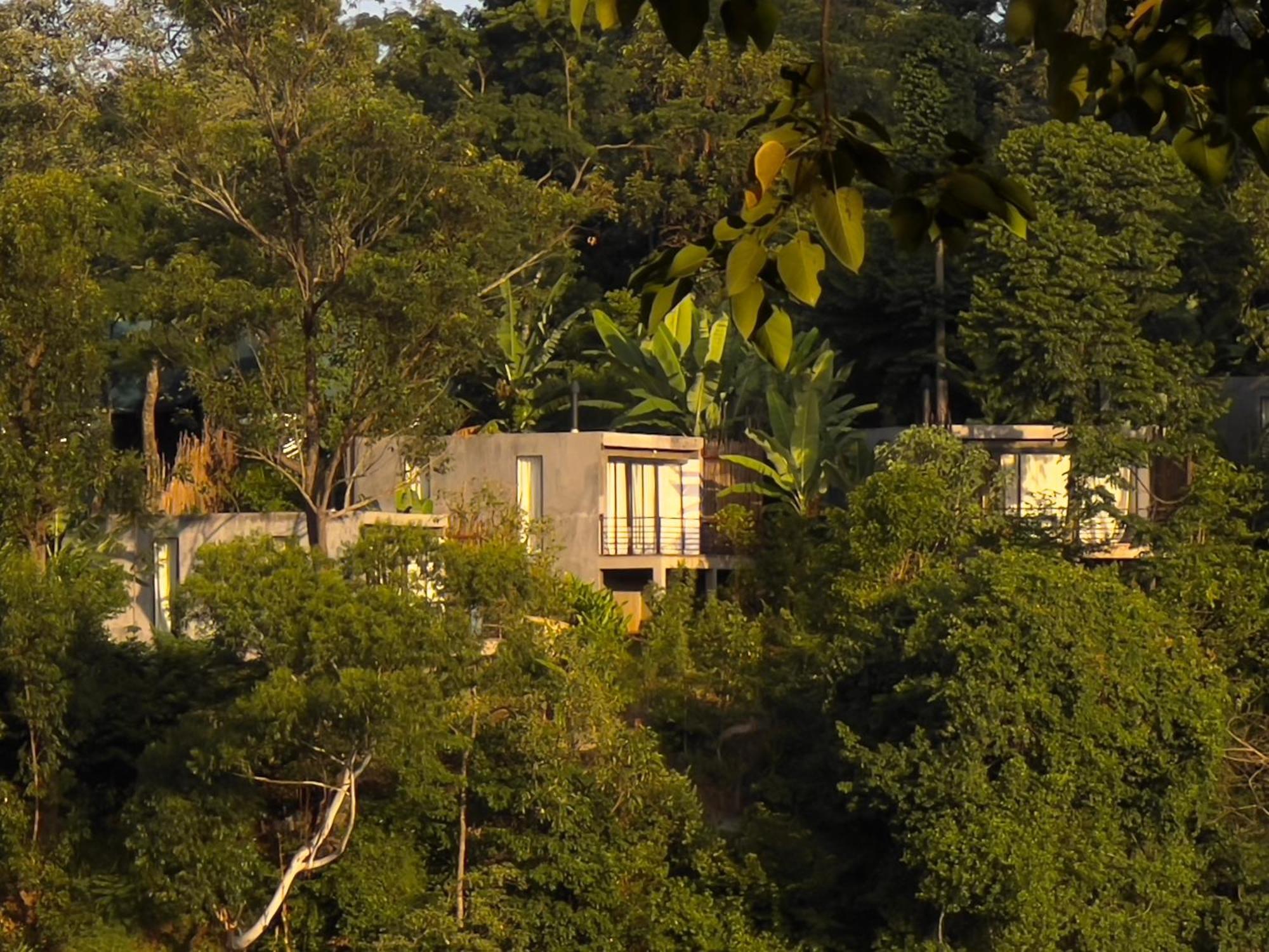 Kaliwa Lodge モシ エクステリア 写真