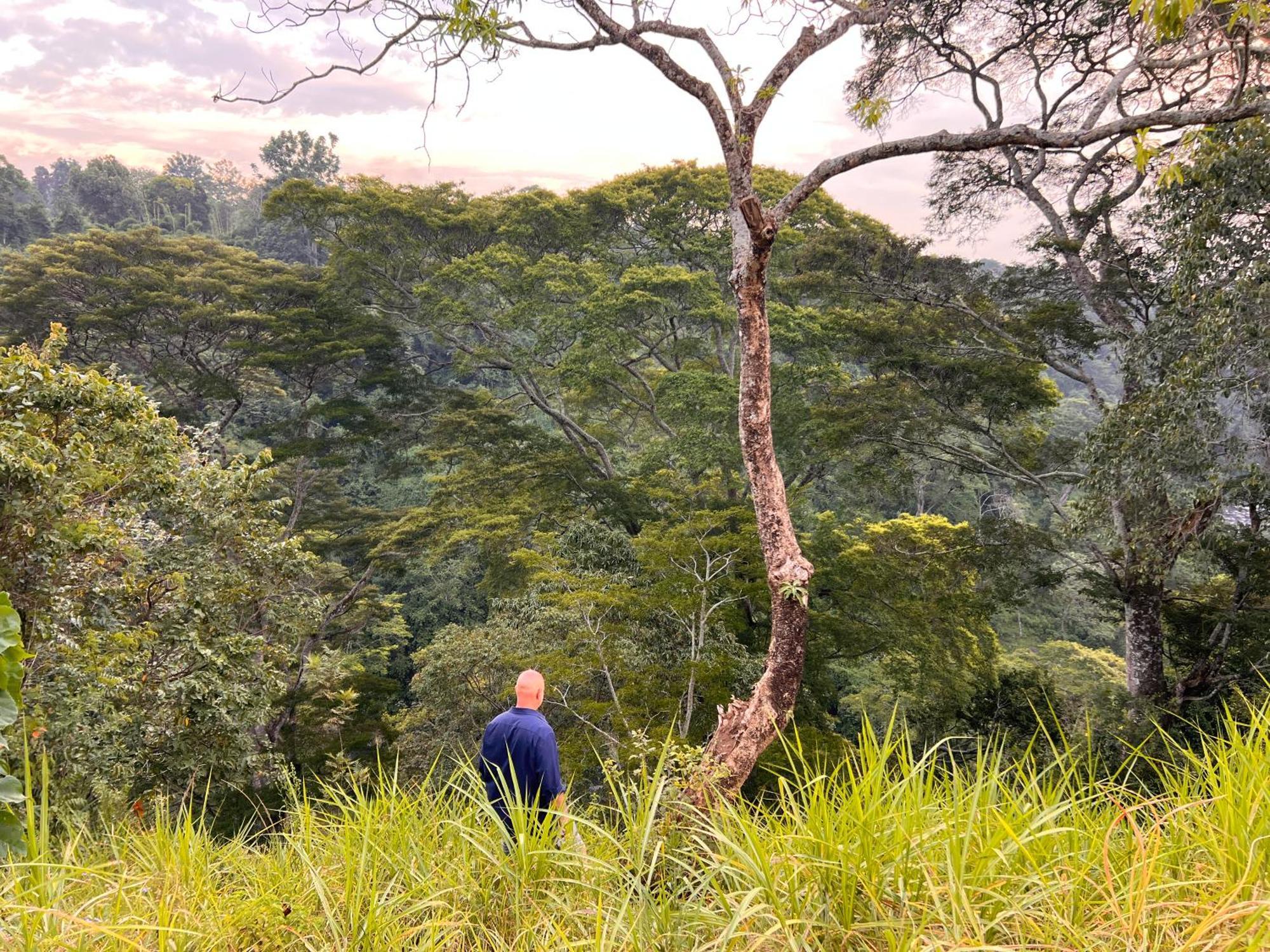 Kaliwa Lodge モシ エクステリア 写真
