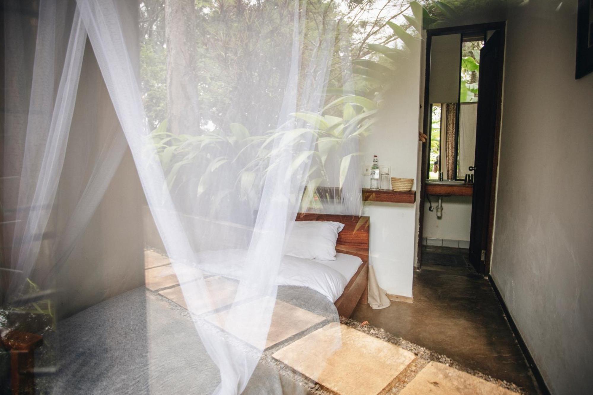 Kaliwa Lodge モシ エクステリア 写真