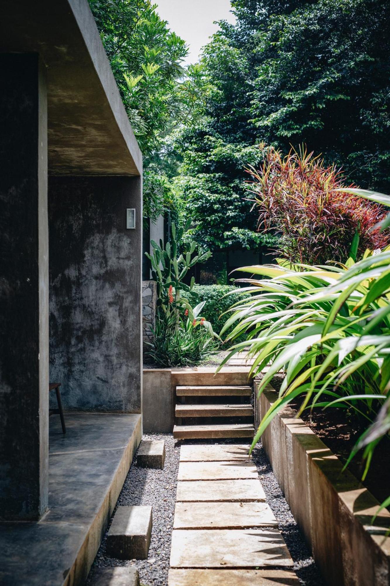 Kaliwa Lodge モシ エクステリア 写真