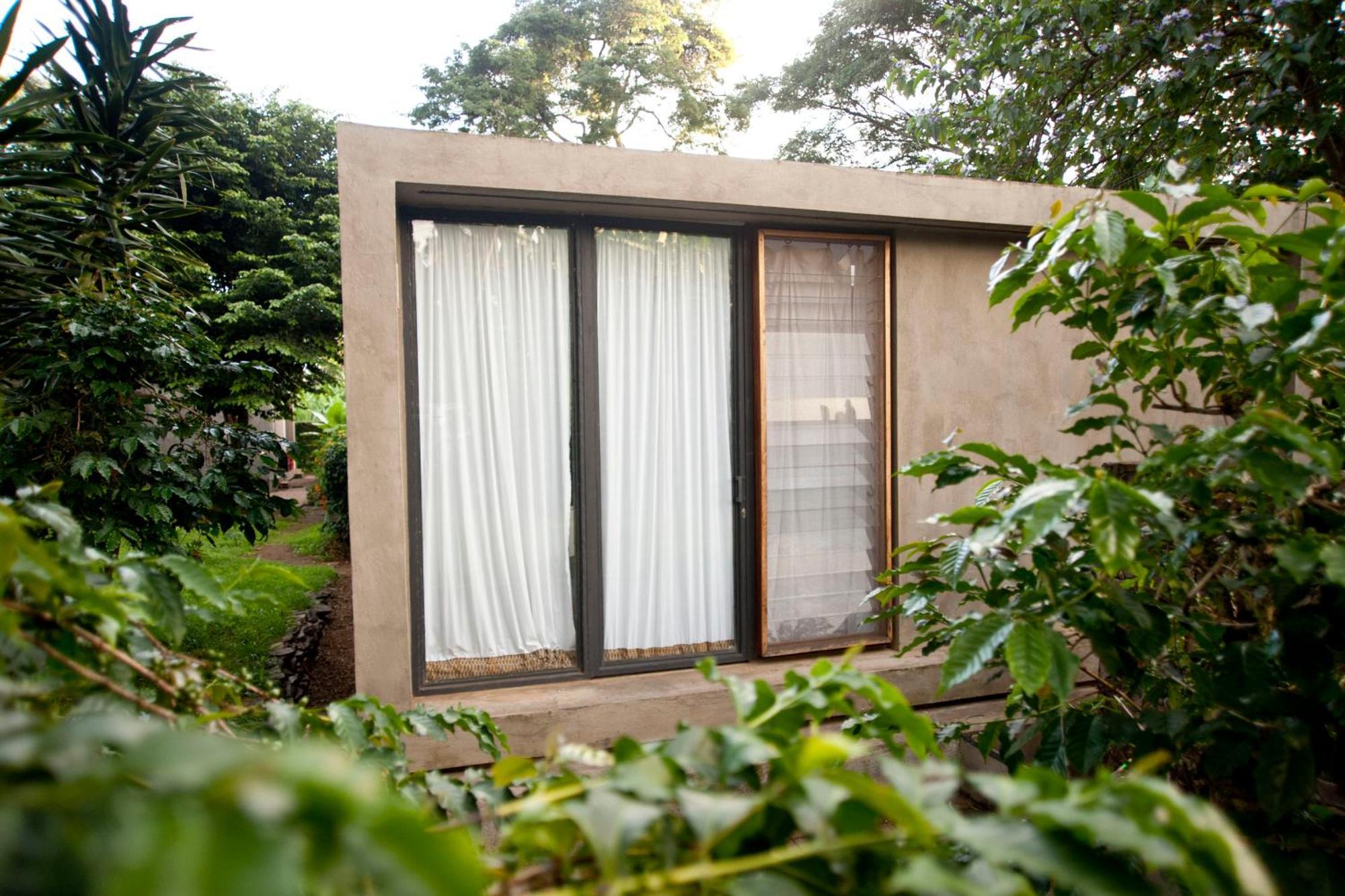 Kaliwa Lodge モシ 部屋 写真